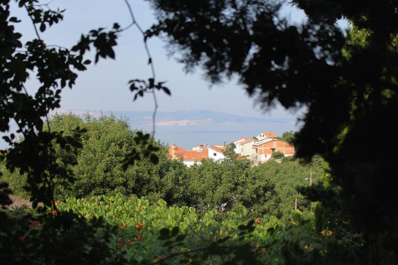 Apartments And Rooms With Parking Space Klenovica, Novi Vinodolski - 5590 Экстерьер фото